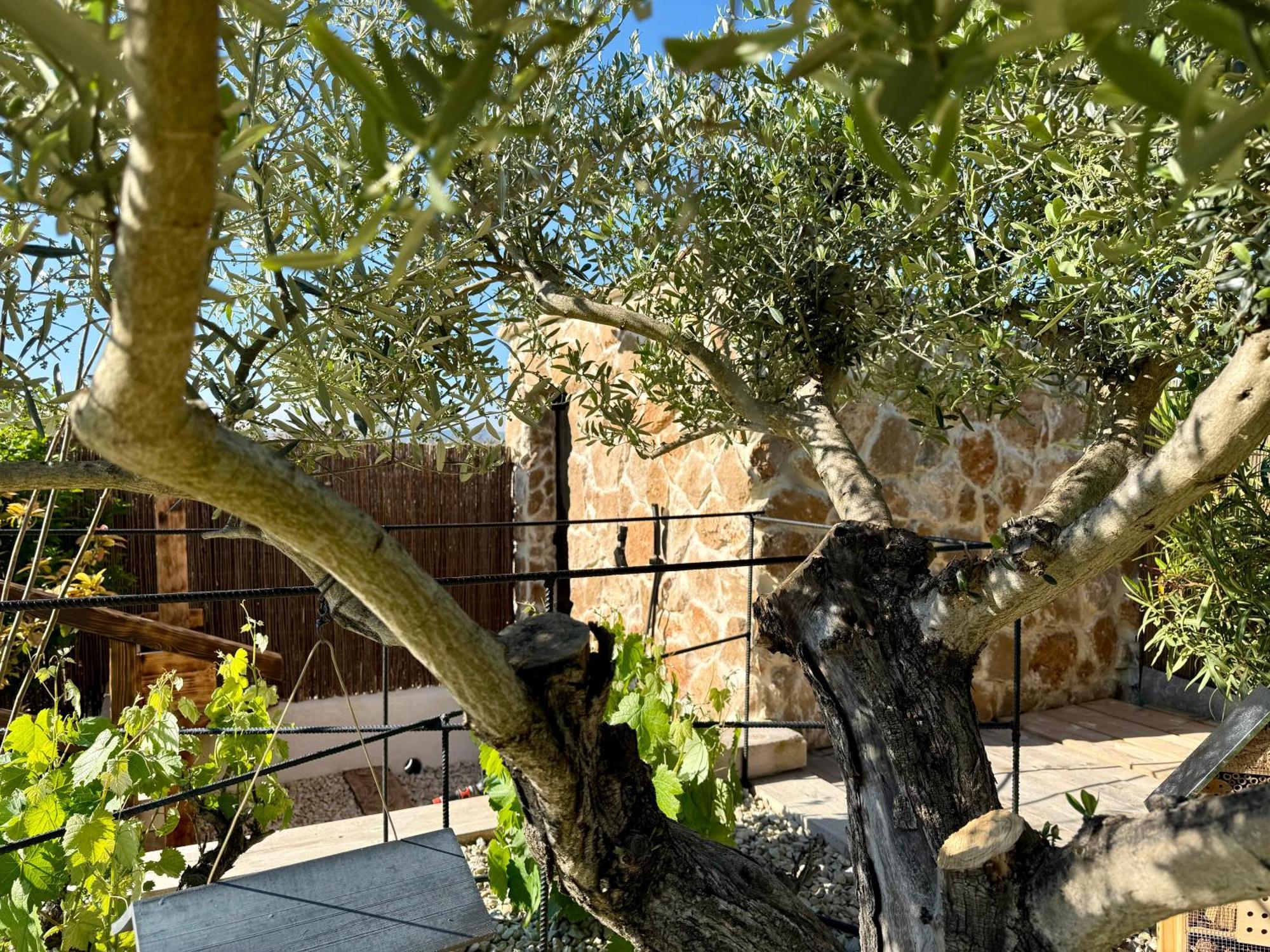 Une Nuit En Luberon Puyvert 외부 사진